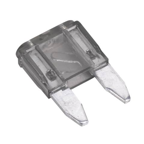 Automotive MINI Blade Fuse 2A - Pack of 50