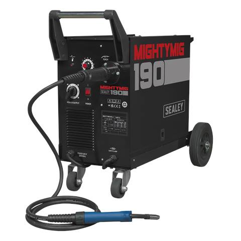 Professional Gas/Gasless MIG Welder with Euro Torch 190A