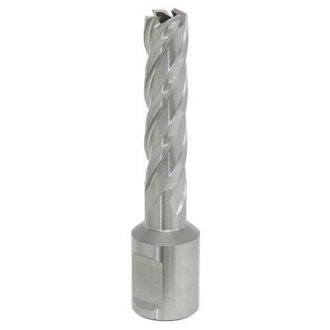 Worksafe® 12mm HSS Mag Drill Bit Cut Depth 50mm