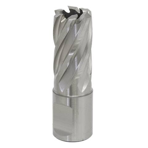 Worksafe® 17mm HSS Mag Drill Bit Cut Depth 25mm