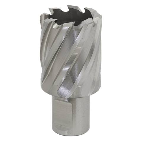 Worksafe® 30mm HSS Mag Drill Bit Cut Depth 25mm