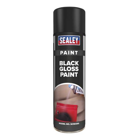 Gloss Paint 500ml - Black