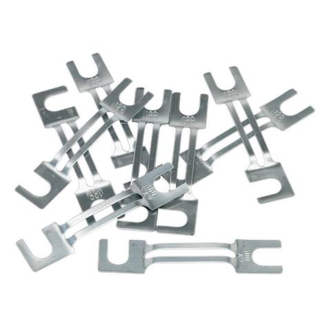 100A Fuse 99 x 20mm, Large - Pack of 10