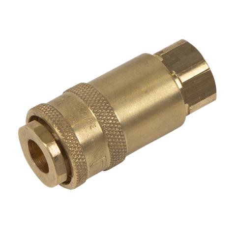 PCL Non-Corrodible Coupling Body Female 1/4"BSPT