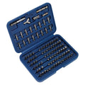 Premier Power Tool/Security Bit Set 100pc