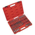 Hex Socket Bit Set 30pc 1/2"Sq Drive