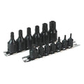 Premier TRX-Star* Security Socket Bit Set 1/4" & 3/8"Sq Drive 13pc