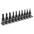 Premier Black TRX-Star* Socket Bit Set 3/8"Sq Drive 10pc