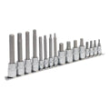 Premier Hex Socket Bit Set 1/4" & 3/8"Sq Drive 16pc