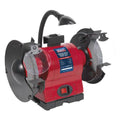 200mm Bench Grinder with Worklight 550W/230V