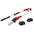 SV20 Series 20cm Cordless Telescopic Chainsaw Kit 20V 4Ah