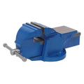 Professional Heavy-Duty Fixed Base Vice 100mm