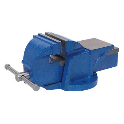 Professional Heavy-Duty Fixed Base Vice 100mm