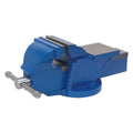 Professional Heavy-Duty Fixed Base Vice 125mm