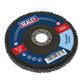 100mm Zirconium Flap Disc 60Grit 16mm Bore