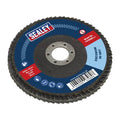 100mm Zirconium Flap Disc 80Grit 16mm Bore
