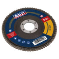 115mm Aluminium Oxide Flap Disc 40Grit 22mm Bore