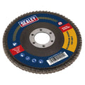 125mm Aluminium Oxide Flap Disc 120Grit 22mm Bore