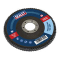 125mm Zirconium Flap Disc 120Grit 22mm Bore