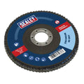 125mm Zirconium Flap Disc 60Grit 22mm Bore