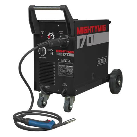 Professional Gas/Gasless MIG Welder with Euro Torch 170A