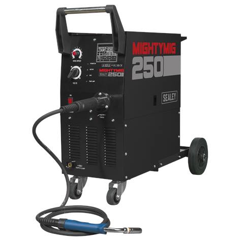 Professional Gas/Gasless MIG Welder with Euro Torch 250A