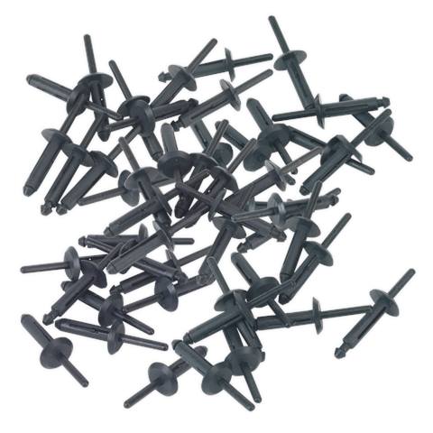 Plastic Rivet 6.3 x 25.2mm - Pack of 50