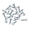 Numberplate Screw with Plastic Enclosed Head 4.8 x 24mm, White - Pack of 50