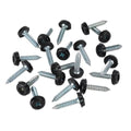 Numberplate Screw with Plastic Enclosed Head 4.8 x 24mm, Black - Pack of 50