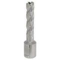 Worksafe® 12mm HSS Mag Drill Bit Cut Depth 50mm