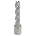 Worksafe® 13mm HSS Mag Drill Bit Cut Depth 50mm