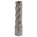 Worksafe® 17mm HSS Mag Drill Bit Cut Depth 50mm