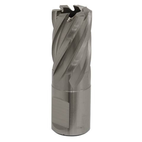 Worksafe® 19mm HSS Mag Drill Bit Cut Depth 25mm