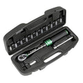 Torque Wrench Set 1/4"Sq Drive 5-25Nm 14pc