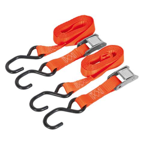 Cam Buckle Strap Polyester Webbing with S-Hooks 25mm x 2.5m 500kg Breaking Strength