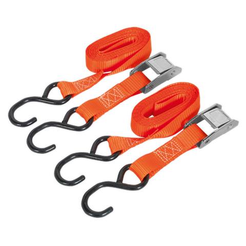 Cam Buckle Strap Polyester Webbing with S-Hooks 25mm x 2.5m 250kg Breaking Strength