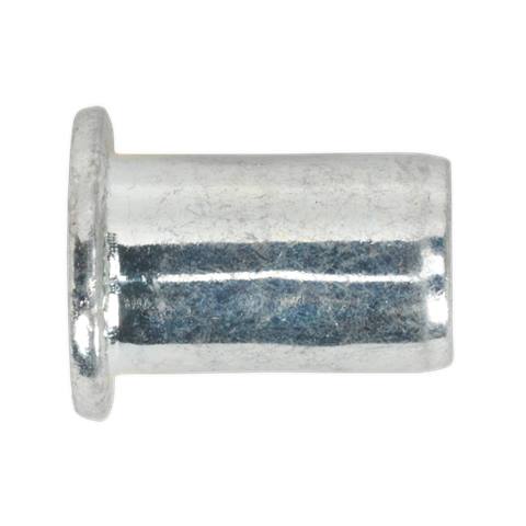 Regular Threaded Insert (Rivet Nut) M10 - Pack of 50