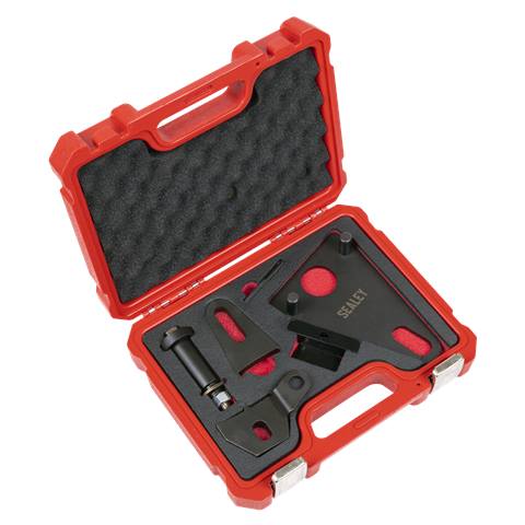 Front Pulley & Flywheel Locking Tool Set - Chain Drive