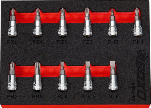 1/4" Screwdriver Bit Set In EVA Foam – BX308-R2