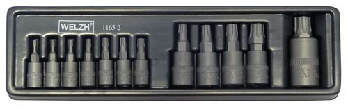 Socket Set, Torx® Plus Bits, S2 Steel, 8IP-60IP